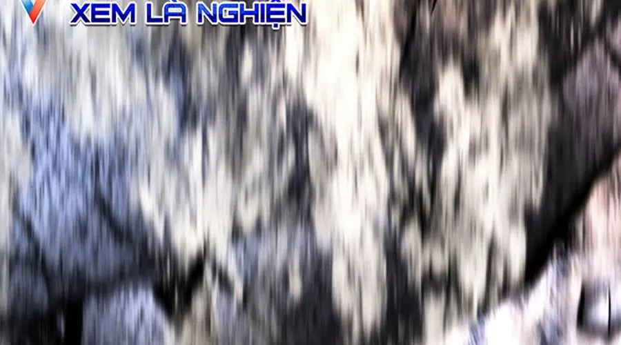 Phòng Gym Hanlim Chap 246 - Next Chap 247