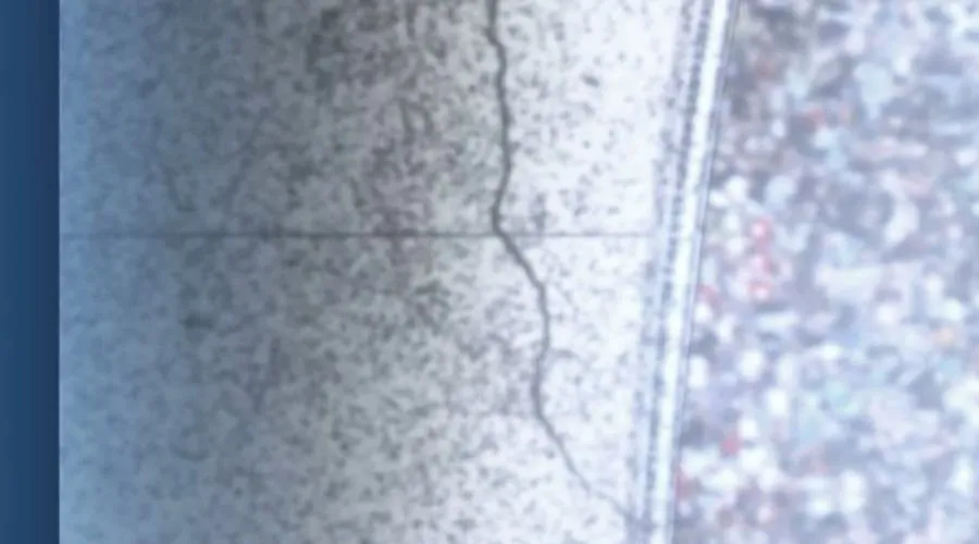 Phòng Gym Hanlim Chap 246 - Next Chap 247