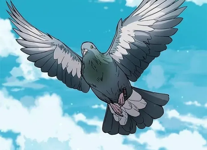 Con Đường Của Võ Giả Chap 238 - Next Chap 239