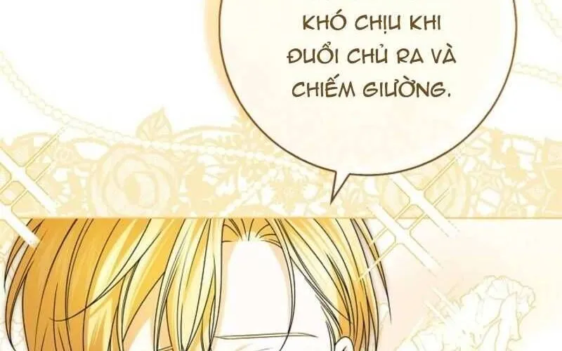 Nam Phụ Lên Giường Ngủ Với Tôi Chap 2 - Next Chap 3
