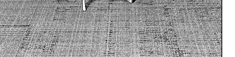 Vũ Trang Siêu Nhiên Chap 209 - Next Chap 210