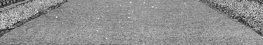 Vũ Trang Siêu Nhiên Chap 209 - Next Chap 210