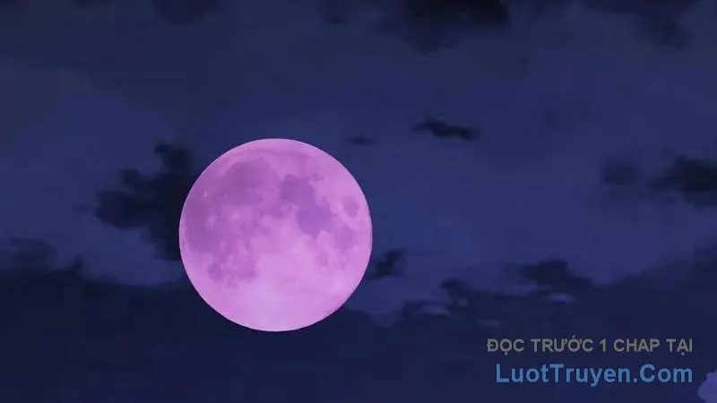 Dị Biến Giáng Lâm Nhân Gian: Kế Hoạch Thanh Trừ Người Chơi Chap 40 - Next Chap 41