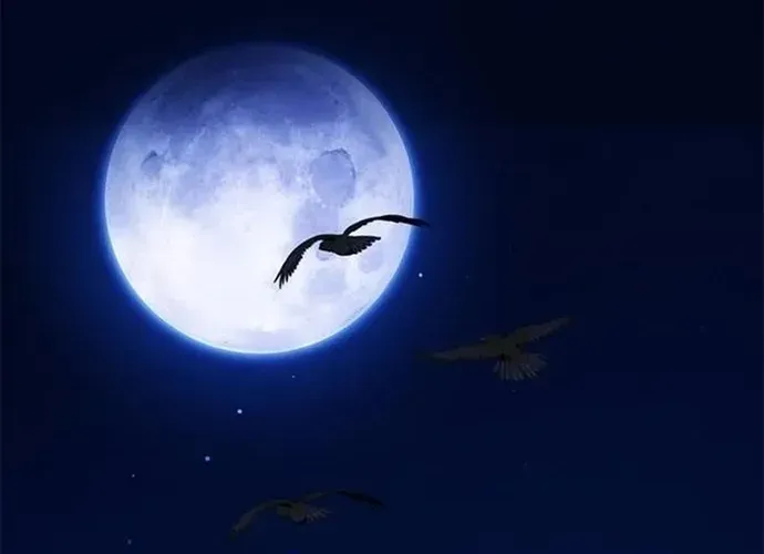 Druid Tại Ga Seoul - Người Hóa Thú Chap 126 - Next Chap 127