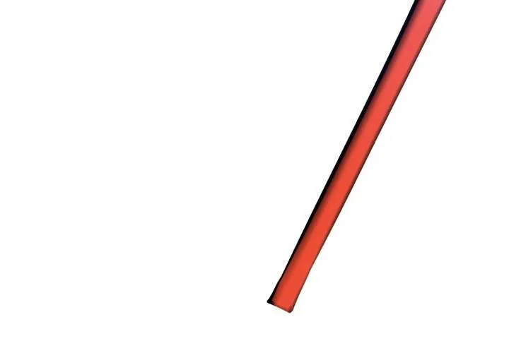 Pháp Sư Thiên Tài Chiến Đấu Bằng Đôi Tay Chap 5 - Next Chap 6