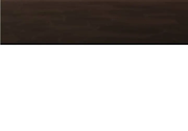 Pháp Sư Thiên Tài Chiến Đấu Bằng Đôi Tay Chap 4 - Next Chap 5