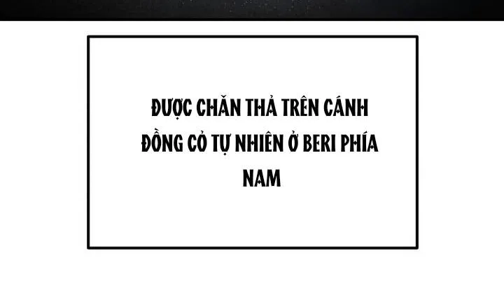 Pháp Sư Thiên Tài Chiến Đấu Bằng Đôi Tay Chap 4 - Next Chap 5