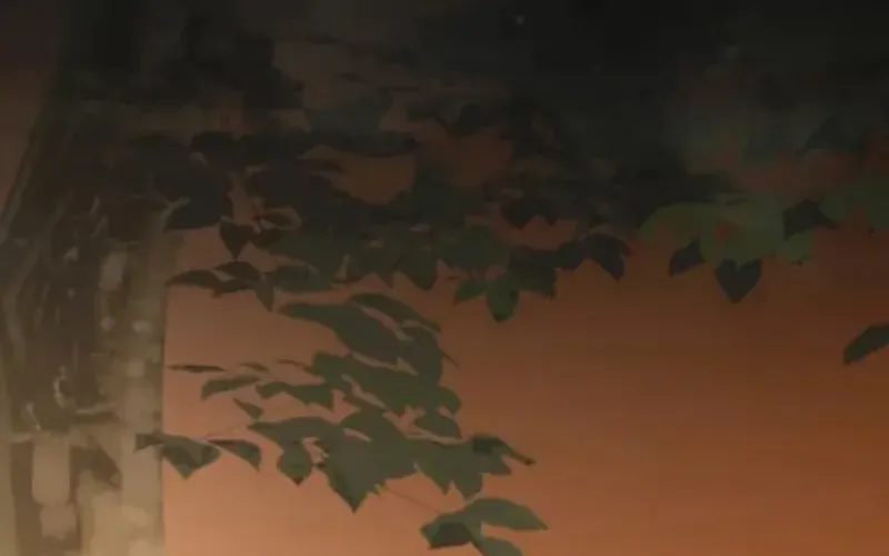 Nếu Anh Muốn Có Em Chap 1 - Next Chap 2