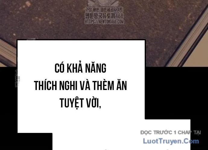 D-Day: Hầm Trú Ẩn Chap 65 - Next Chap 66