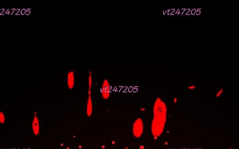 Song Sát Chap 4 - Next Chap 5