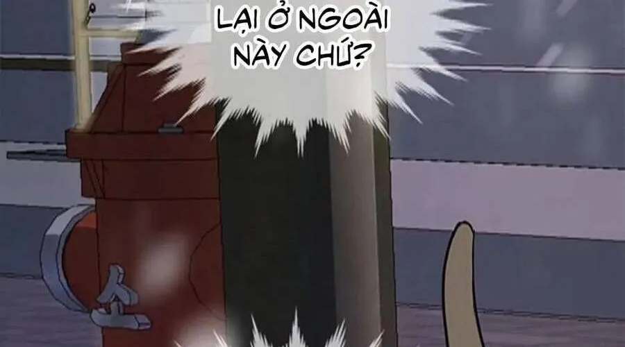 Lời Tỏ Tình Đáng Ngờ Chap 3 - Next Chap 4