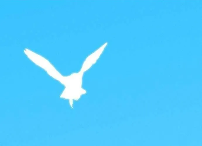 Bầu Trời Mùa Hạ Dấu Yêu Chap 59 - Next Chap 60