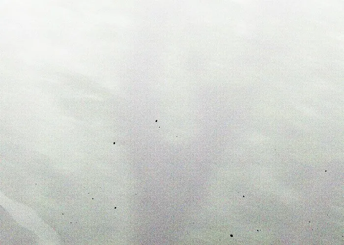 Trở thành huấn luyện viên kiếm thuật tại học viện Chap 36 - Next Chap 37