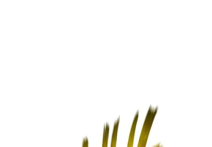 Pháp Sư Thiên Tài Chiến Đấu Bằng Đôi Tay Chap 11 - Next Chap 12