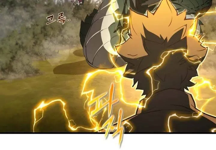 Pháp Sư Thiên Tài Chiến Đấu Bằng Đôi Tay Chap 14 - Next Chap 15