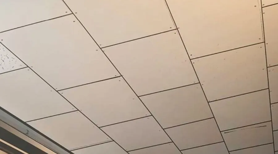 Phòng Gym Hanlim Chap 247 - Next Chap 248