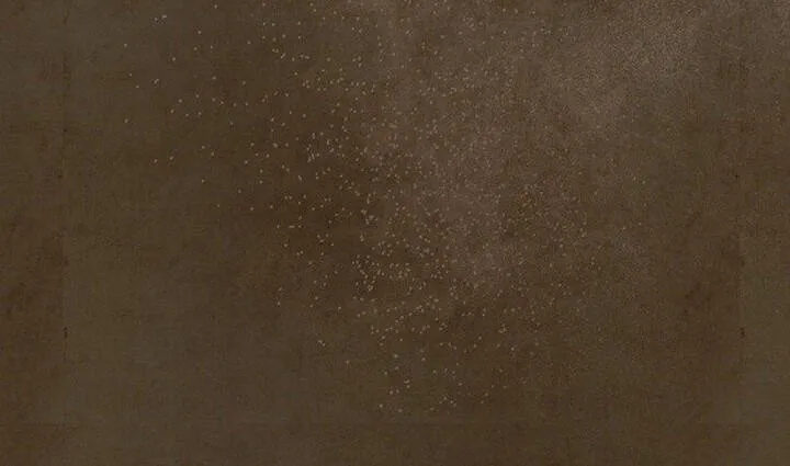 Đó Không Phải Con Gái Tôi Chap 28 - Next Chap 29