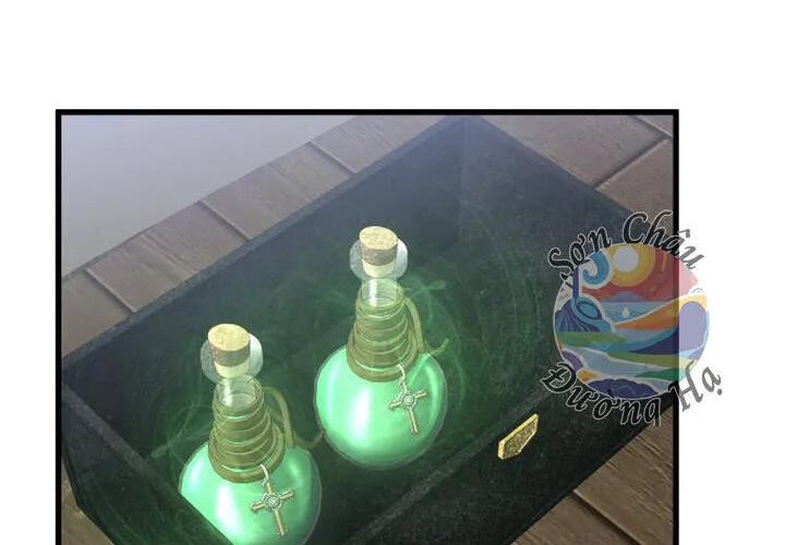 Pháp Sư Thiên Tài Chiến Đấu Bằng Đôi Tay Chap 24 - Next Chap 25