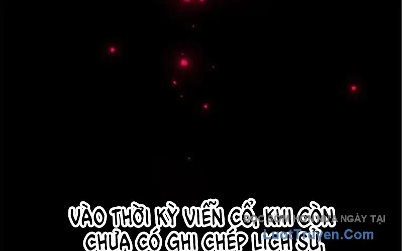 Tôi May Mắn Triệu Hồi Được Tinh Linh Hộ Vệ Hạng 10 Chap 41 - Next Chap 42