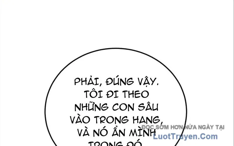 Tôi May Mắn Triệu Hồi Được Tinh Linh Hộ Vệ Hạng 10 Chap 40 - Next Chap 41