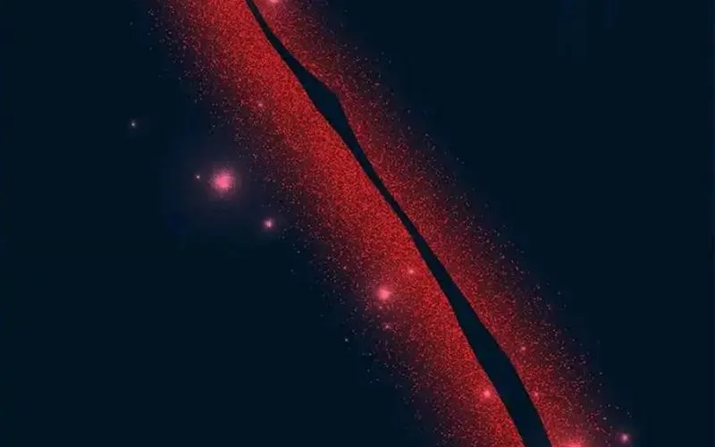 Tôi May Mắn Triệu Hồi Được Tinh Linh Hộ Vệ Hạng 10 Chap 39 - Next Chap 40