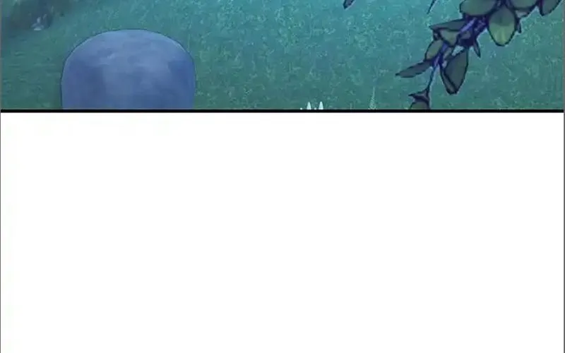 Tôi May Mắn Triệu Hồi Được Tinh Linh Hộ Vệ Hạng 10 Chap 36 - Next Chap 37