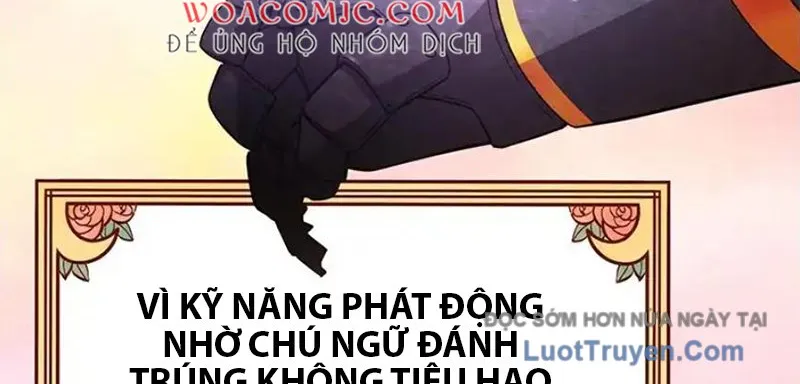 Tôi May Mắn Triệu Hồi Được Tinh Linh Hộ Vệ Hạng 10 Chap 40 - Next Chap 41