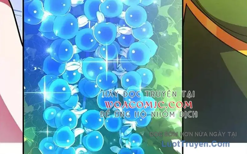 Tôi May Mắn Triệu Hồi Được Tinh Linh Hộ Vệ Hạng 10 Chap 38 - Next Chap 39