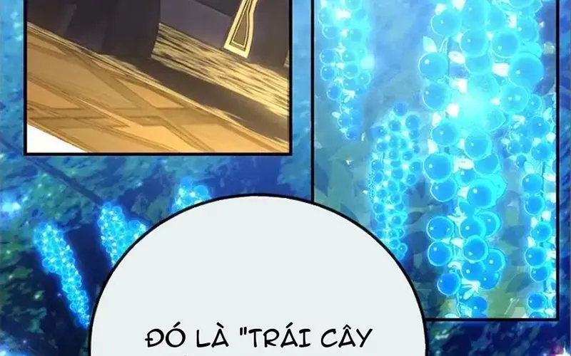 Tôi May Mắn Triệu Hồi Được Tinh Linh Hộ Vệ Hạng 10 Chap 41 - Next Chap 42