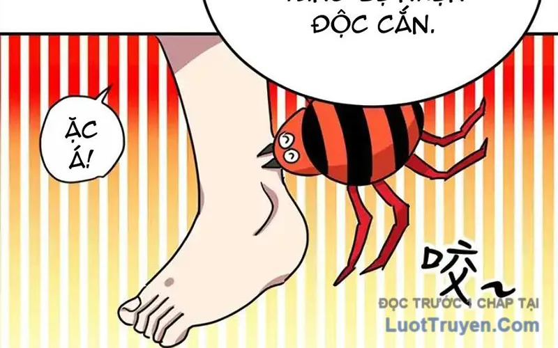 Tôi May Mắn Triệu Hồi Được Tinh Linh Hộ Vệ Hạng 10 Chap 28 - Next Chap 29