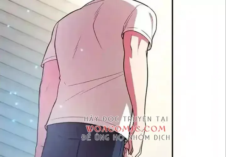 Tôi May Mắn Triệu Hồi Được Tinh Linh Hộ Vệ Hạng 10 Chap 24 - Next Chap 25