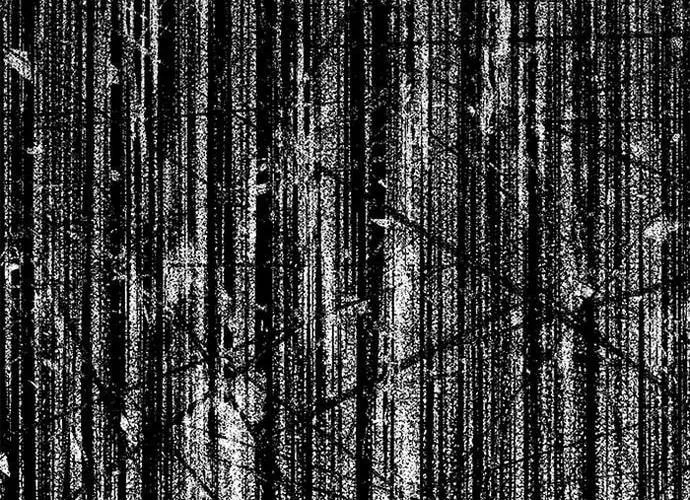 Druid Tại Ga Seoul - Người Hóa Thú Chap 137 - Next Chap 138