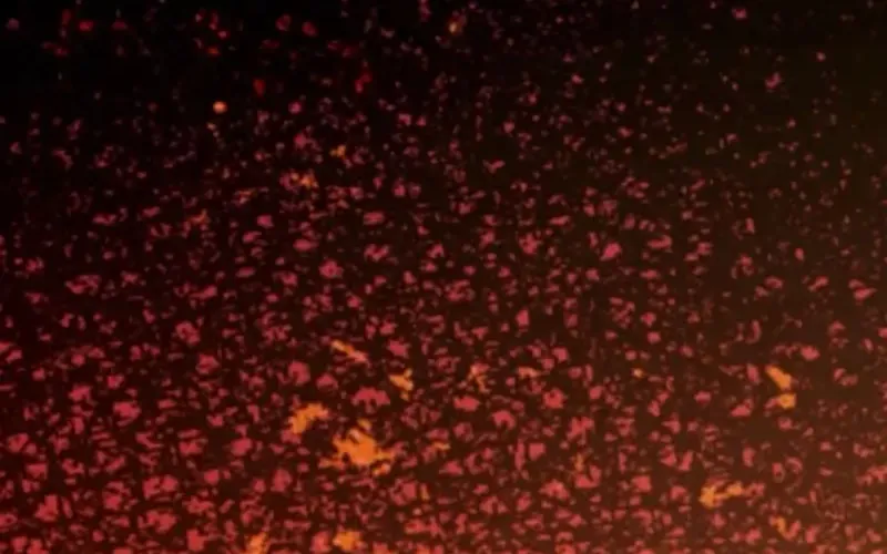 Nếu Anh Muốn Có Em Chap 4 - Next Chap 5