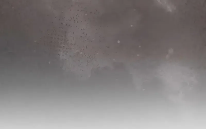 Nếu Anh Muốn Có Em Chap 4 - Next Chap 5