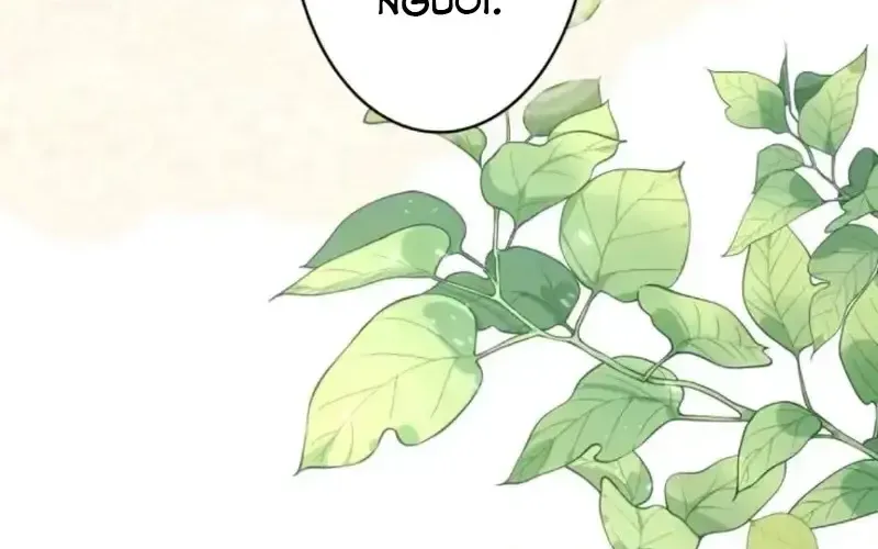 Nếu Anh Muốn Có Em Chap 13 - Next Chap 14