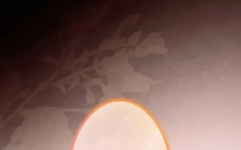 Nếu Anh Muốn Có Em Chap 13 - Next Chap 14