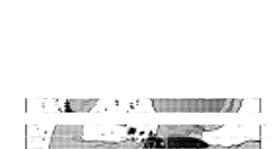 Cánh Hoa Về Luân Hồi Chap 46 - Next Chap 47