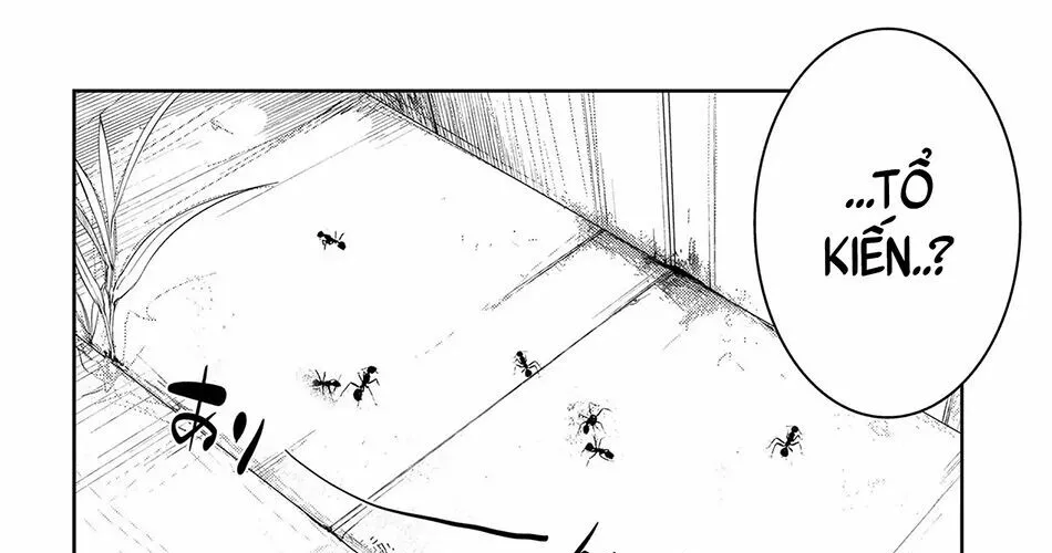 Cánh Hoa Về Luân Hồi Chap 35 - Next Chap 36