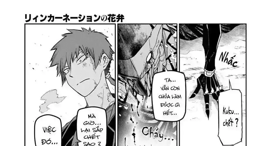 Cánh Hoa Về Luân Hồi Chap 108.9 - Next Chap 109.9