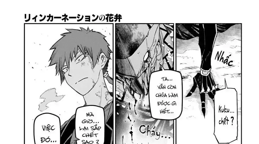 Cánh Hoa Về Luân Hồi Chap 108.4 - Next Chap 109.4