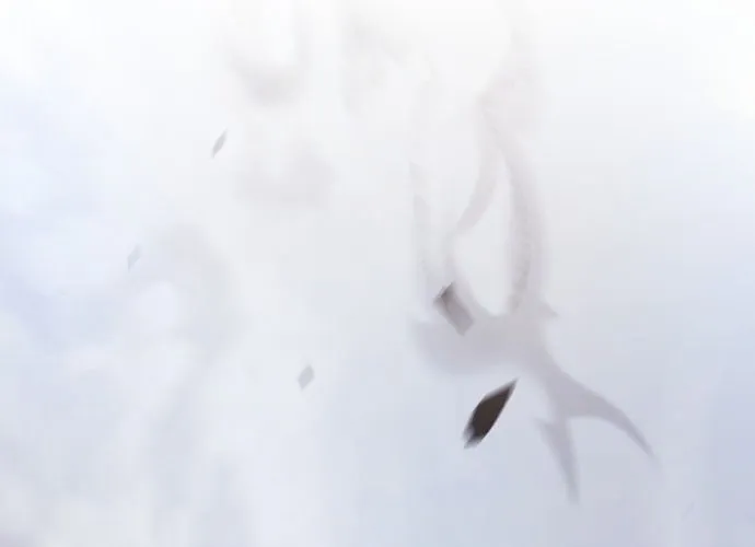 Gậy Gỗ Cấp 99+ Chap 162 - Next Chap 163