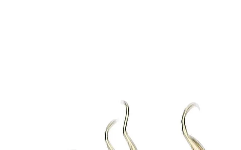 Druid Tại Ga Seoul - Người Hóa Thú Chap 15.5 - Next Chap 16.5