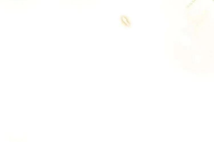 Nam Phụ Lên Giường Ngủ Với Tôi Chap 6 - Next Chap 7