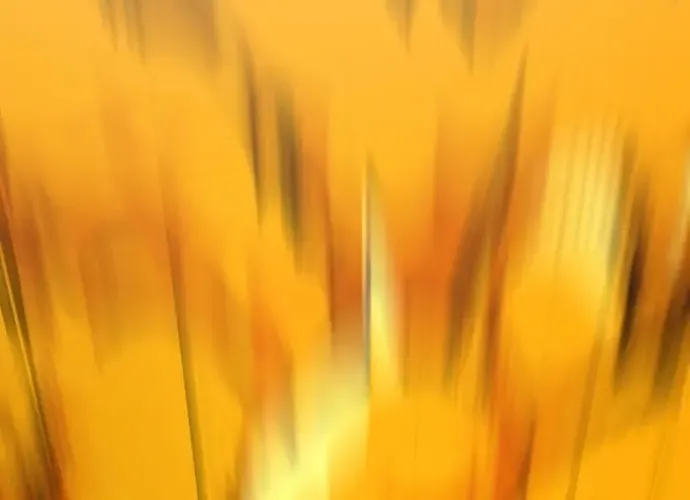 Chân Lý Tu Tiên Chap 18 - Next Chap 19