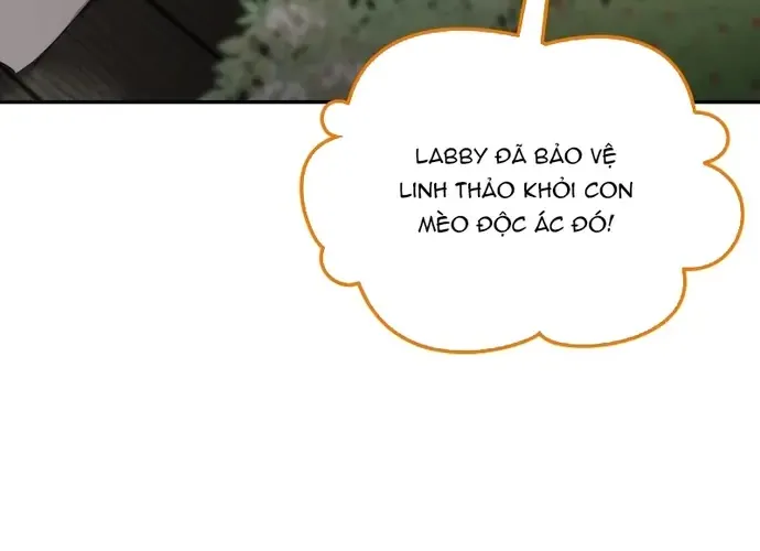 Chân Lý Tu Tiên Chap 16 - Next Chap 17