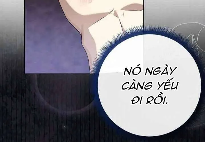 Xin Lỗi Vì Tôi Không Thể Rời Mắt Khỏi Vẻ Ngoài Của Ngài Chap 41 - Next Chap 42