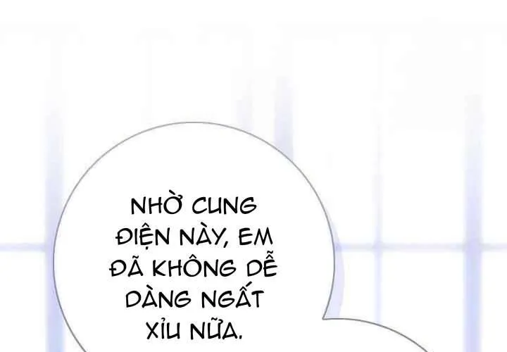 Xin Lỗi Vì Tôi Không Thể Rời Mắt Khỏi Vẻ Ngoài Của Ngài Chap 41 - Next Chap 42