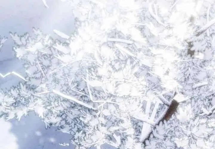 Xin Lỗi Vì Tôi Không Thể Rời Mắt Khỏi Vẻ Ngoài Của Ngài Chap 41 - Next Chap 42