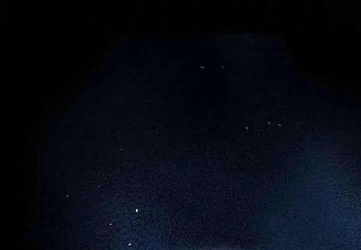 Xin Lỗi Vì Tôi Không Thể Rời Mắt Khỏi Vẻ Ngoài Của Ngài Chap 42 - Next Chap 43