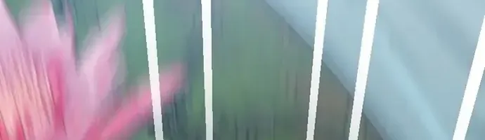 Chân Lý Tu Tiên Chap 21 - Next Chap 22